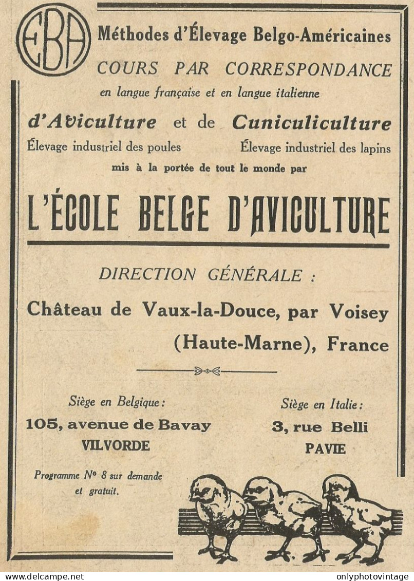 L'ècole Belge D'aviculture - Pubblicità 1928 - Advertising - Advertising