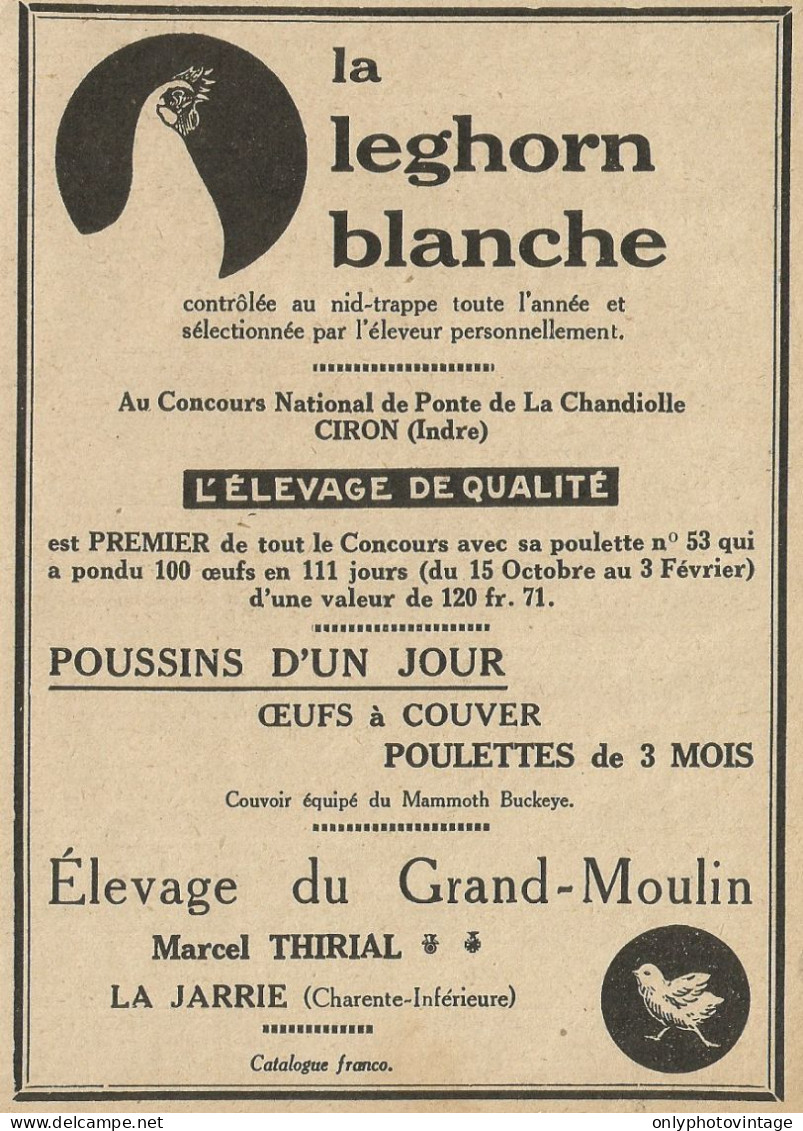 La Leghorne Blanche - Allevamento Pulcini - Pubblicità 1929 - Advertising - Advertising