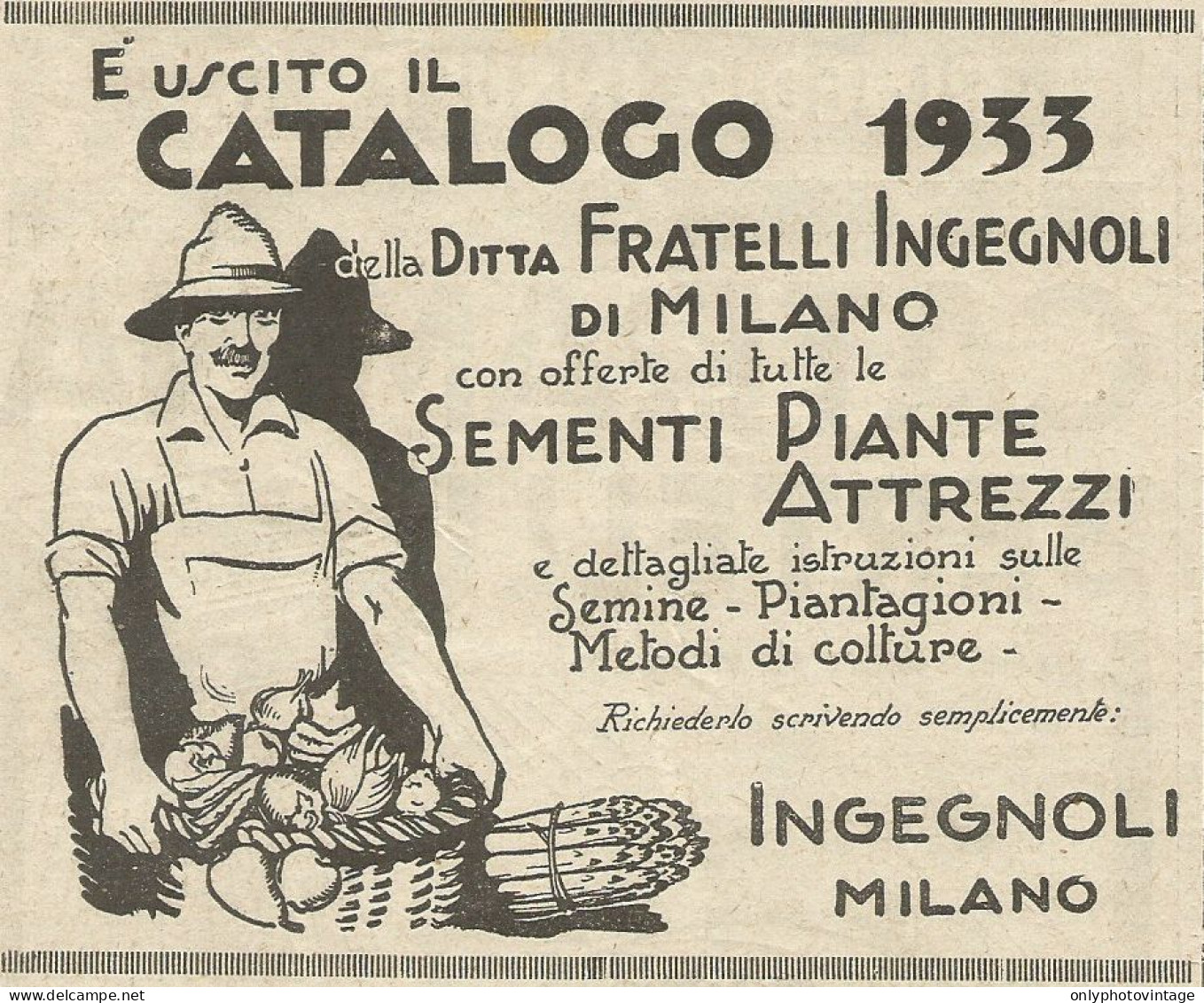 Sementi E Piante INGEGNOLI - Pubblicità 1933 - Advertising - Werbung