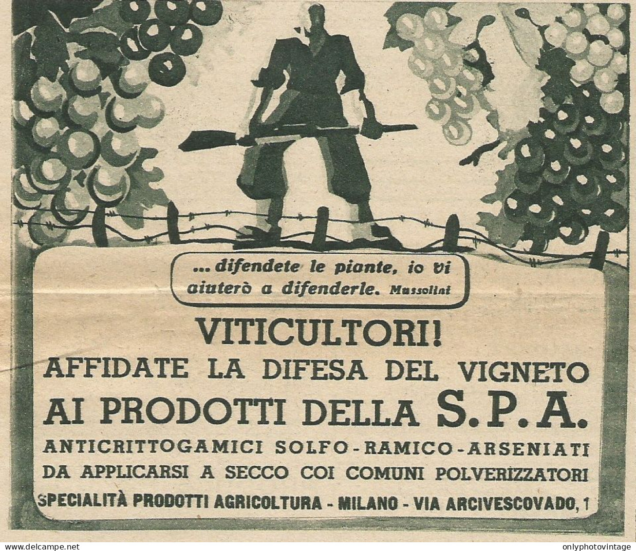 Affidate La Difesa Dei Vigneti Con S.P.A. - Pubblicità 1938 - Advertising - Werbung