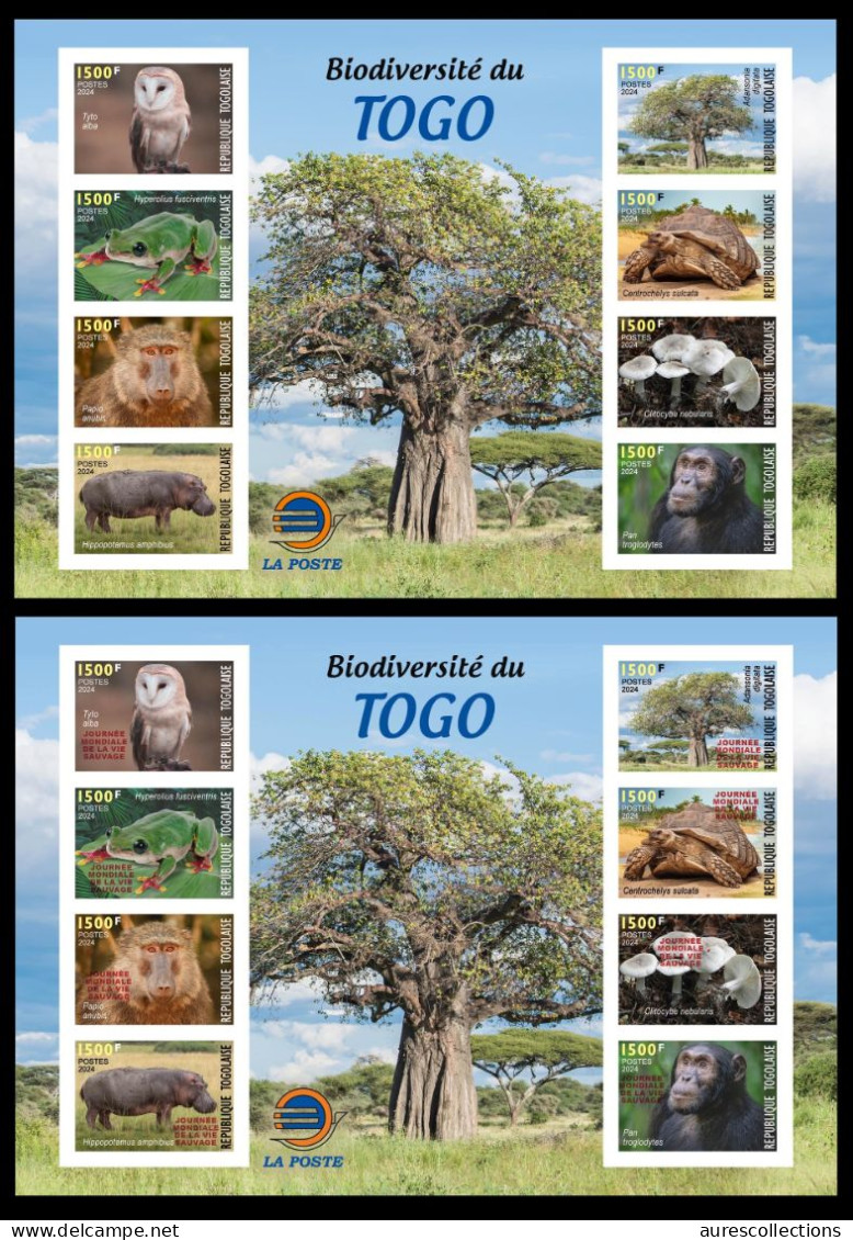 TOGO 2024 MS 8V IMPERF - REG & OVERPRINT - MUSHROOMS OWL OWLS FROG FROGS TURTLE TURTLES HIPPOPOTAMUS BAOBAB MONKEY MNH - Frösche