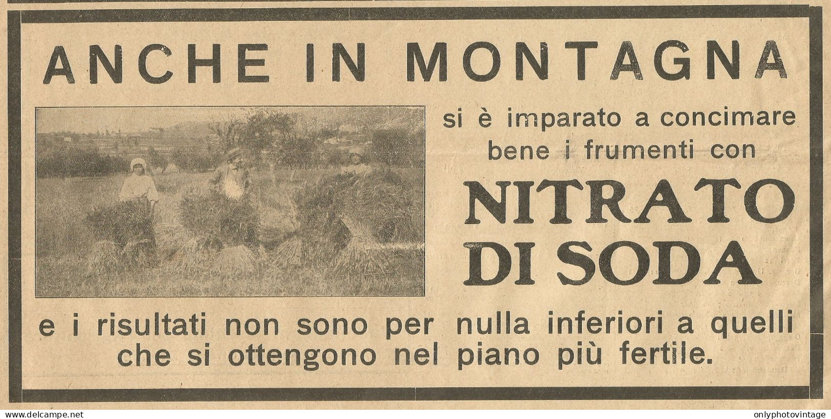 Frumenti Con Nitrato Di Soda - Pubblicità 1915 - Advertising - Pubblicitari