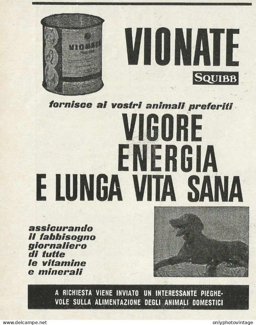 Alimento Per Cani VIONATE SQUIBB - Pubblicità 1968 - Advertising - Publicités