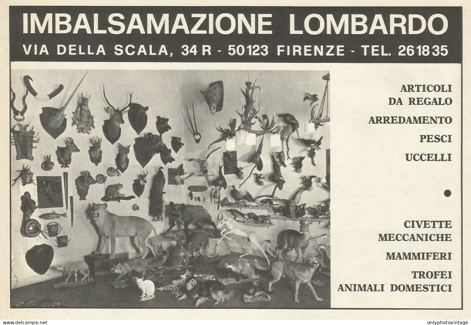 Imbalsamazione LOMBARDO - Pubblicità 1969 - Advertising - Advertising