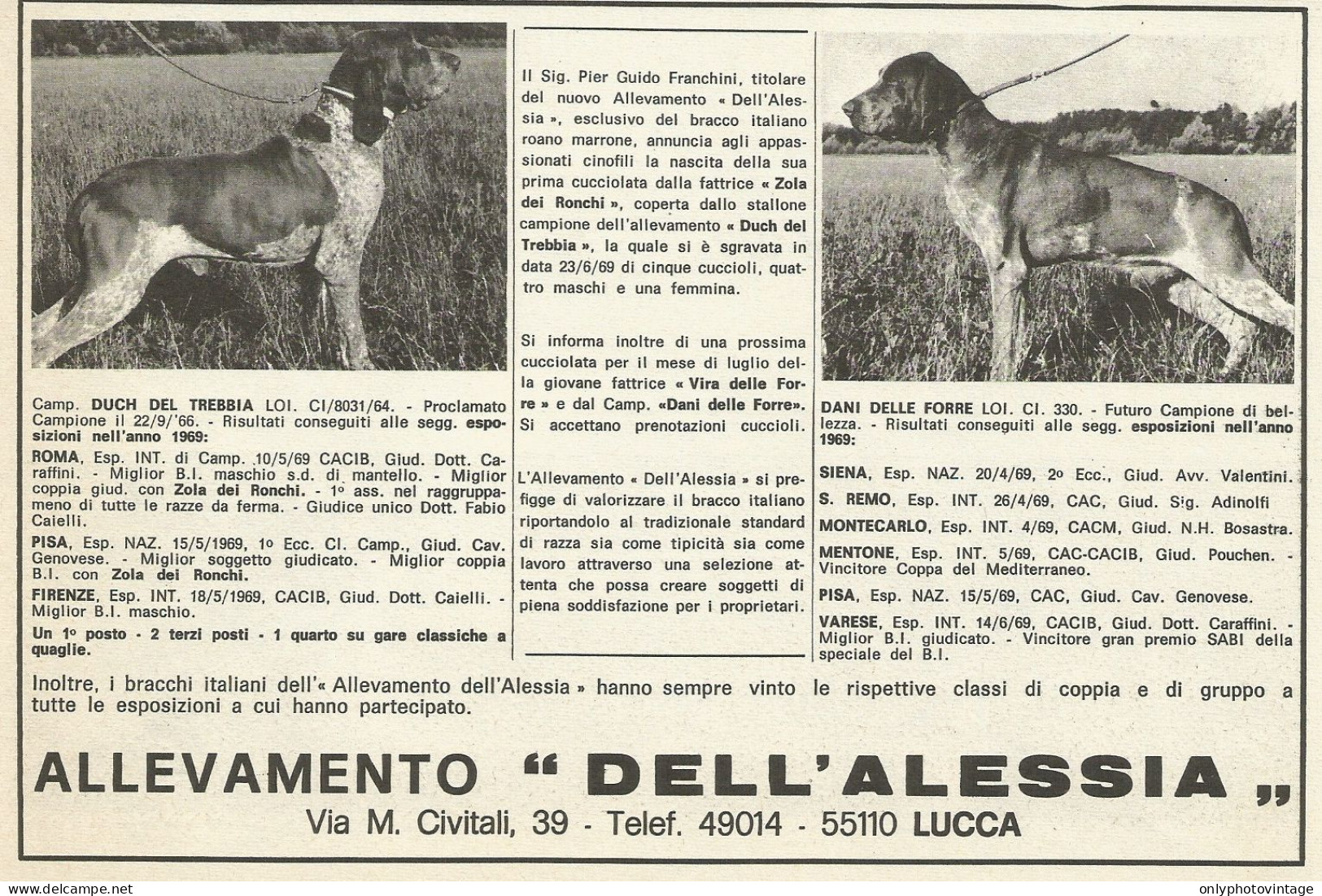 Allevamento DELL'ALESSIA - Pubblicità 1969 - Advertising - Publicités