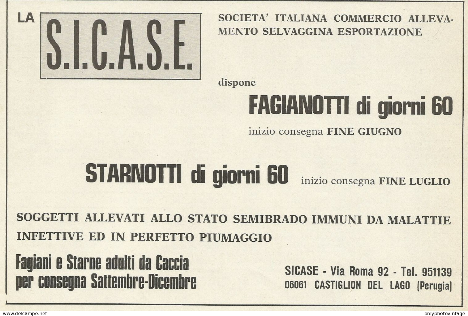 Allevamento Selvaggina S.I.C.A.S.E. - Pubblicità 1969 - Advertising - Publicités