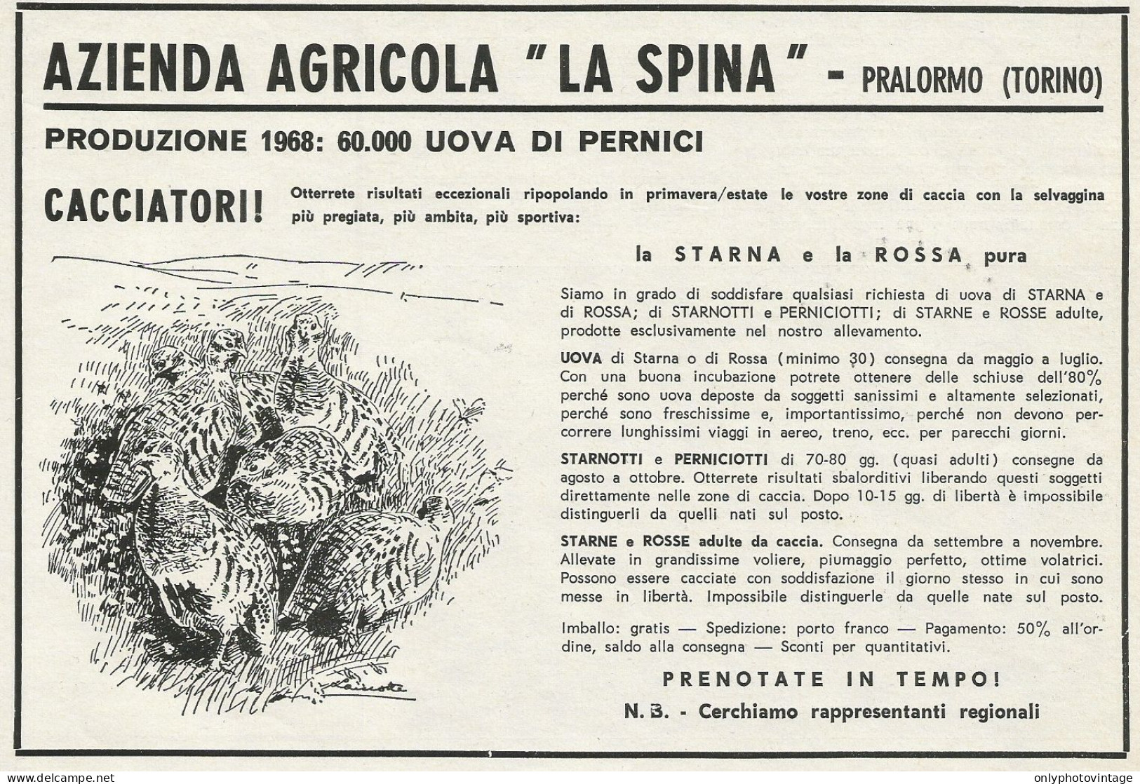 Azienda Agricola LA SPINA - Pubblicità 1968 - Advertising - Werbung