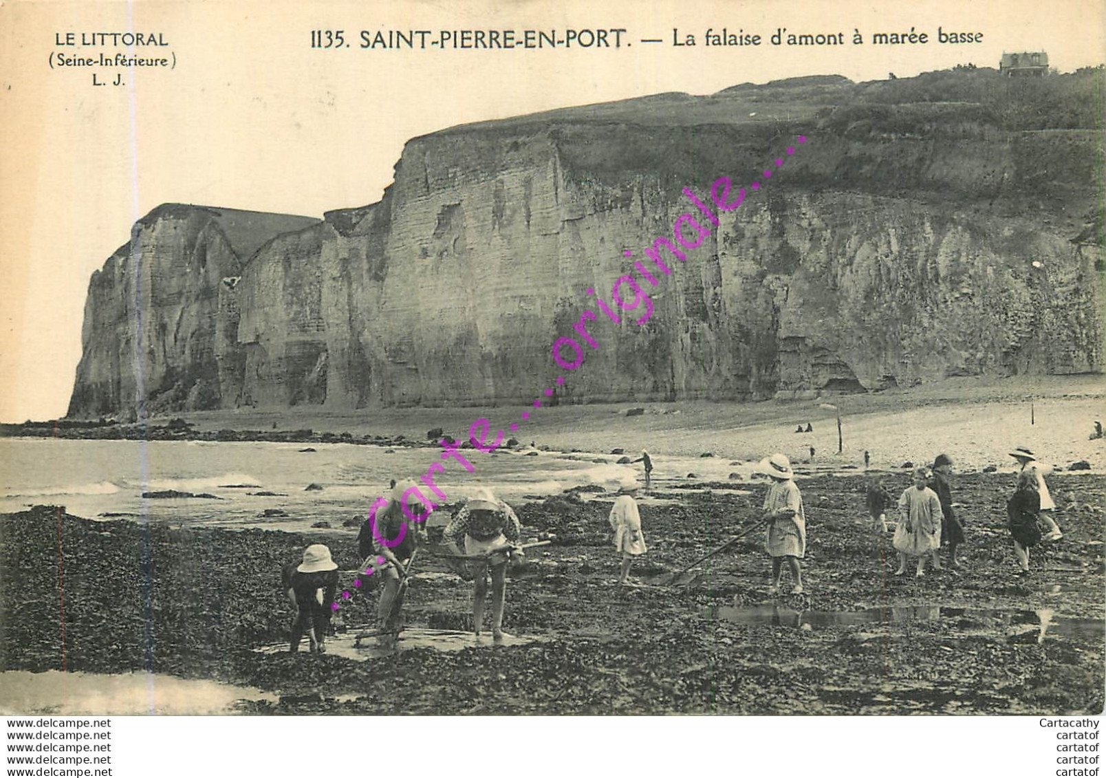 76.  SAINT PIERRE EN PORT .  La Falaise D'amont à Marée Basse .  CPA Animée . - Other & Unclassified