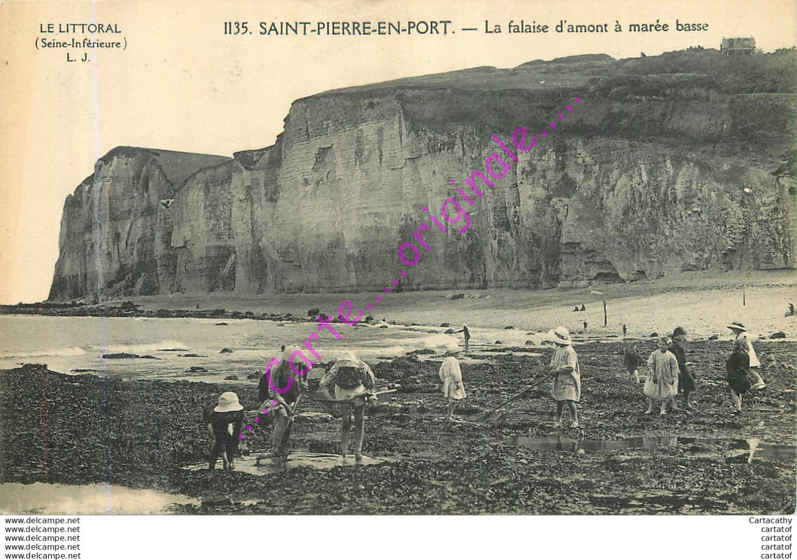 76.  SAINT PIERRE EN PORT .  La Falaise D'amont à Marée Basse .  CPA Animée . - Autres & Non Classés