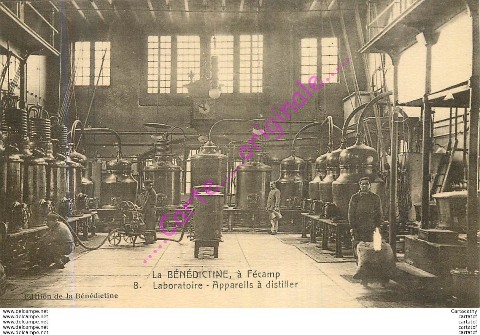 76. LA BENEDICTINE à FECAMP . Laboratoire . Appareils à Distiller . - Fécamp