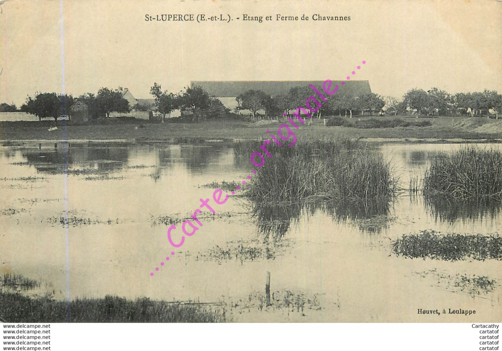 28.  SAINT LUPERCE . Etang Et Ferme De Chavannes . - Andere & Zonder Classificatie