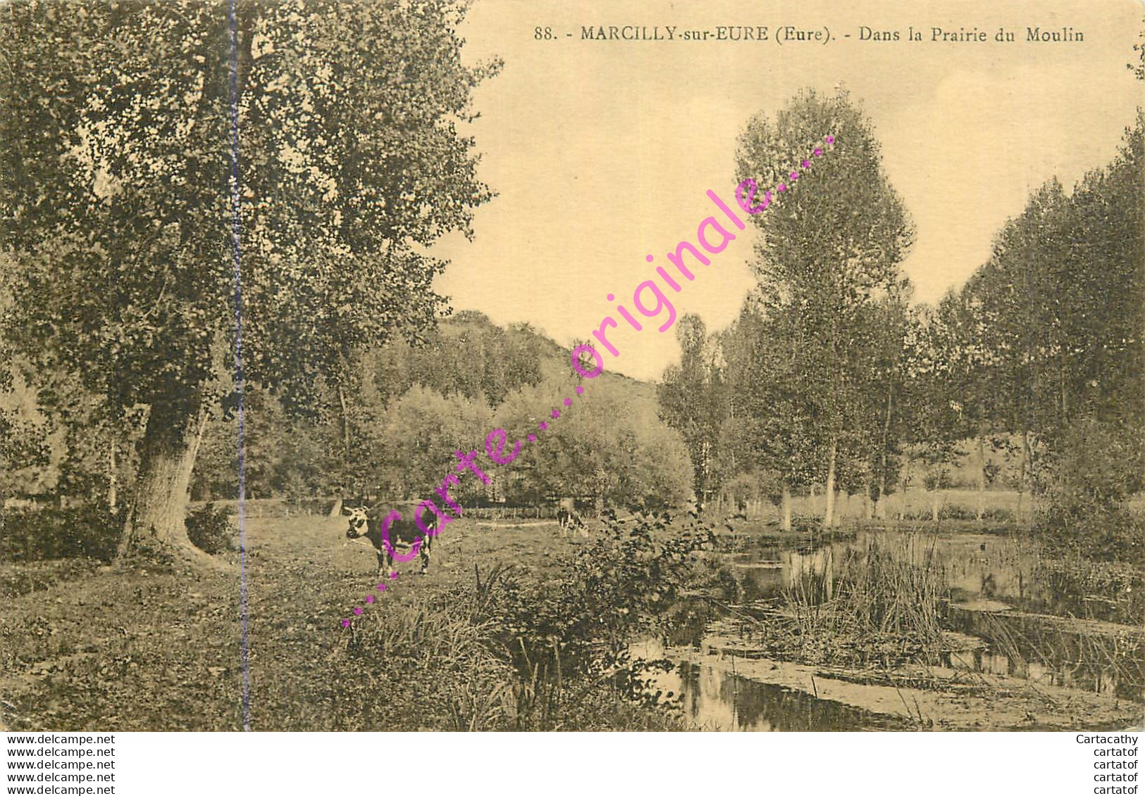 27.  MARCILLY SUR EURE .  Dans La Prairie Du Moulin . - Marcilly-sur-Eure