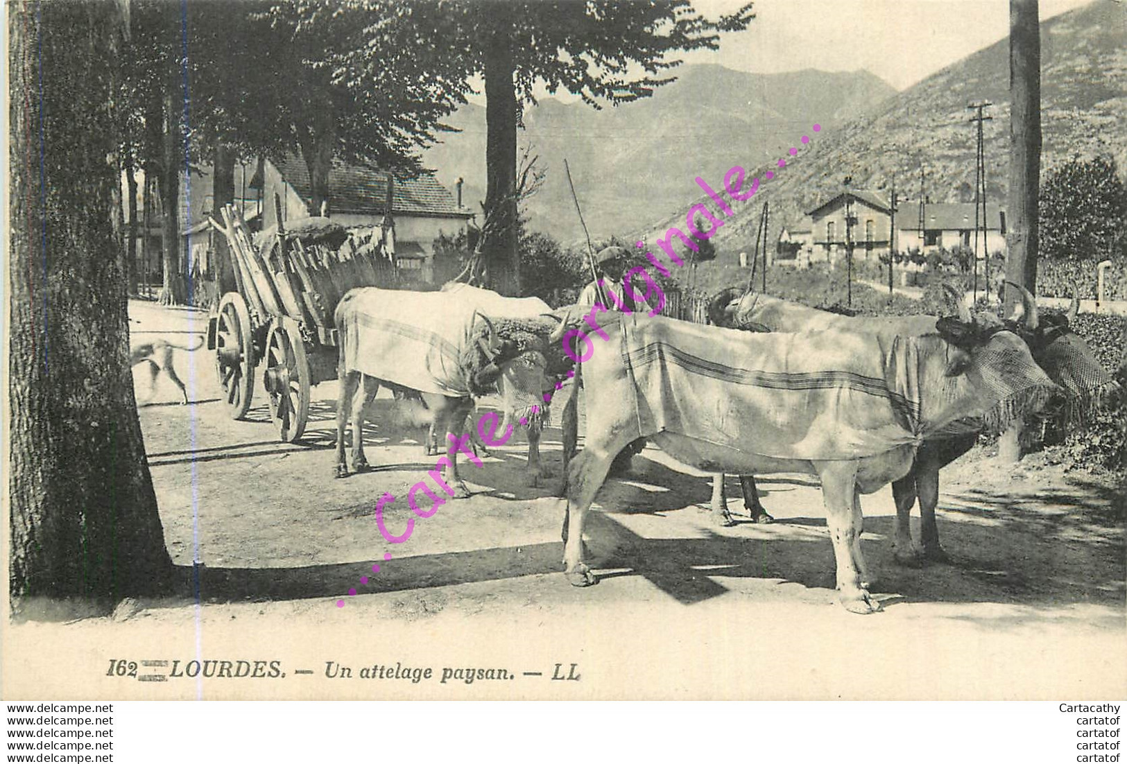 65.  LOURDES .  Un Attelage Paysan (attelage De Boeufs ) . - Lourdes