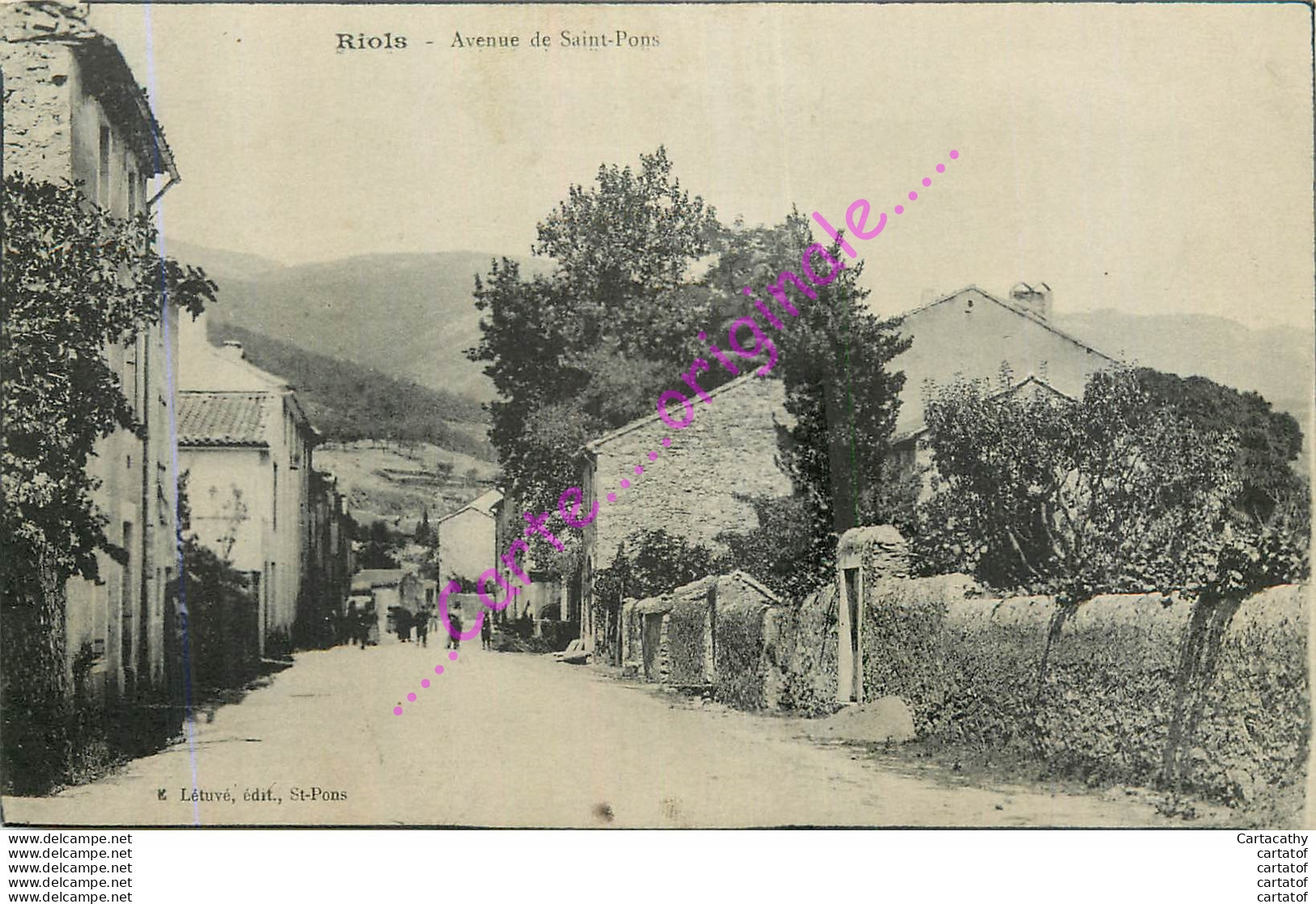 34.  RIOLS .  Avenue De Saint Pons . - Sonstige & Ohne Zuordnung