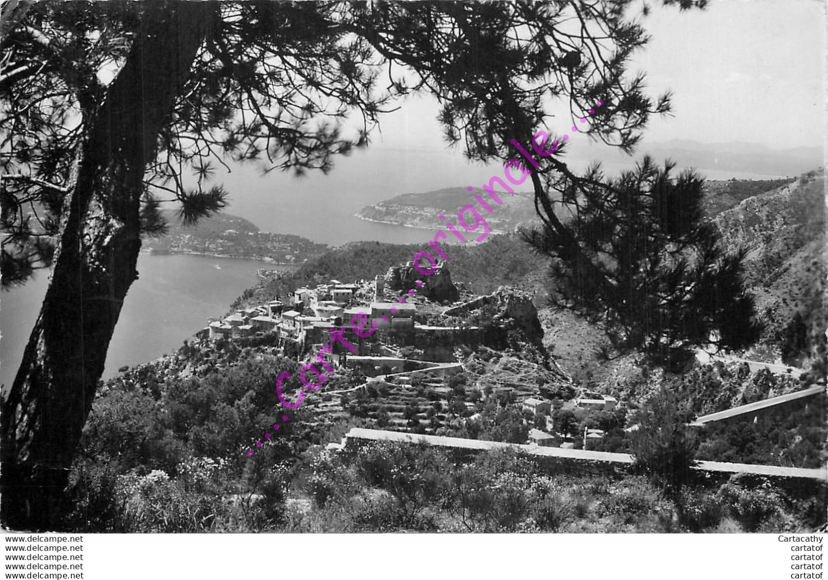 06.  EZE .  Vue Du Nid D'Aigle Entre Les Pins . - Eze