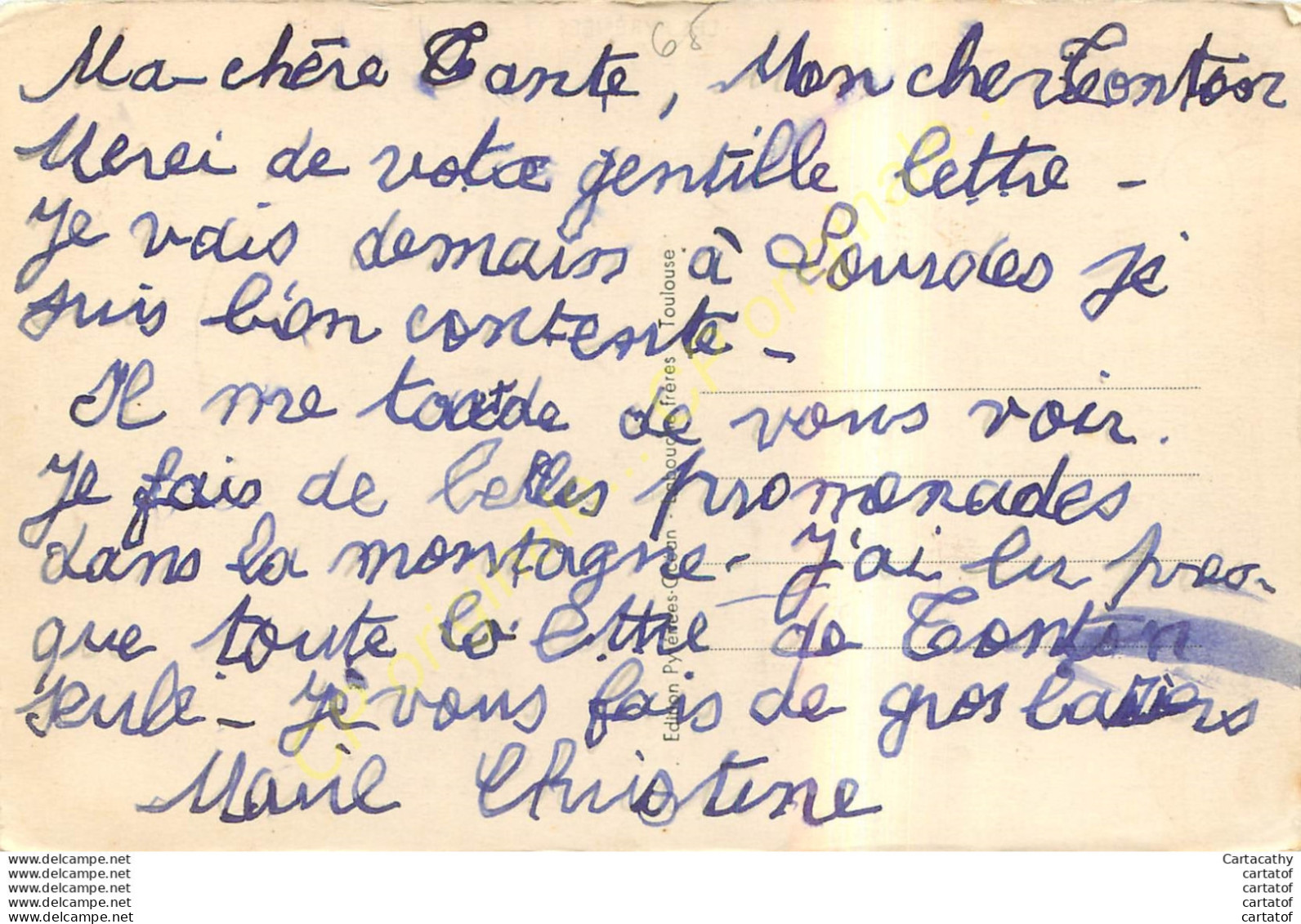 Chiens Des Pyrénées .  Une Portée De 8 Jours . - Otros & Sin Clasificación