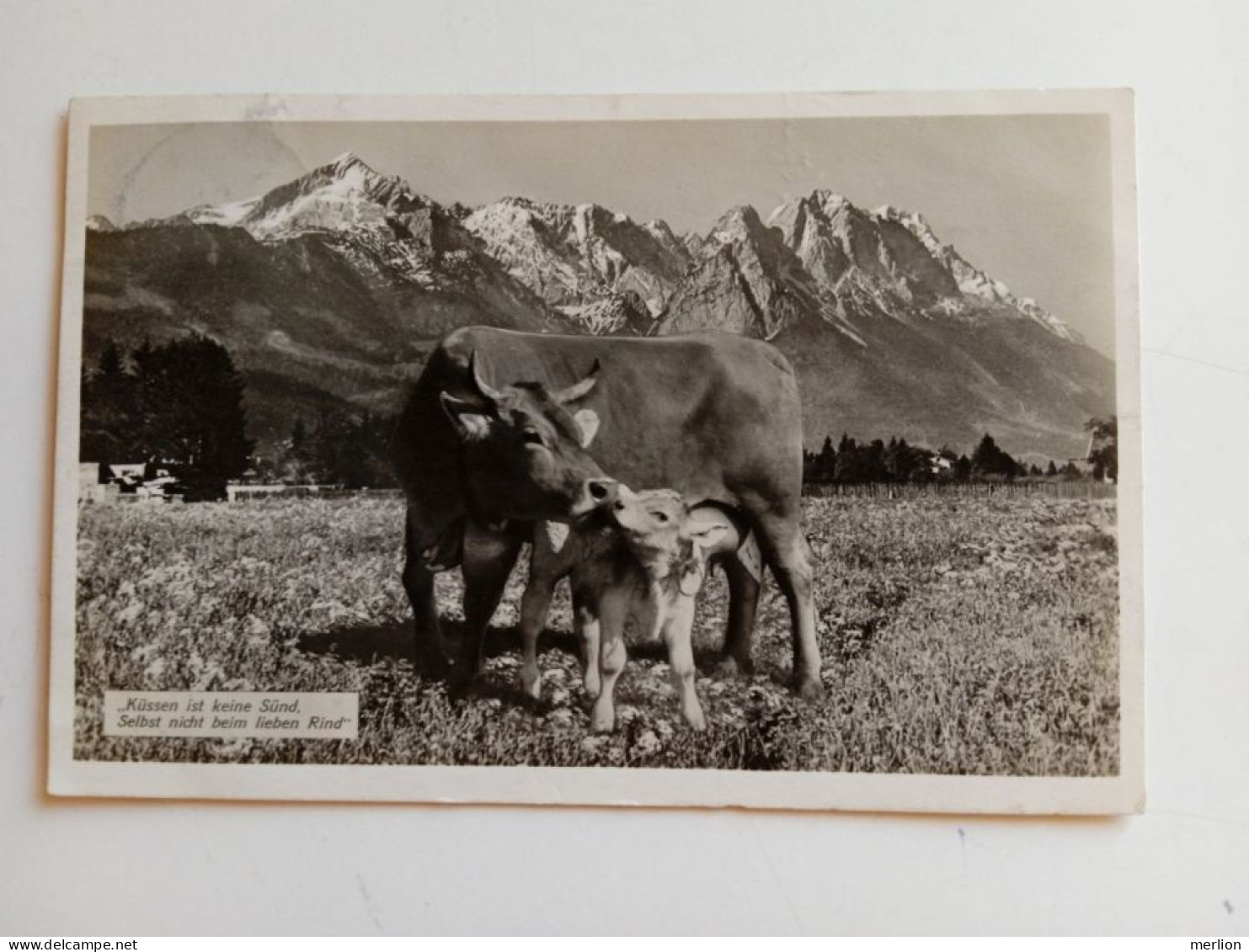 D202638   AK- CPA  Bayern - Hindelang  1933  - Kuh Mit Ihrem Kalb In Den Deutschen Alpen, Cow With Its Calf - Hindelang