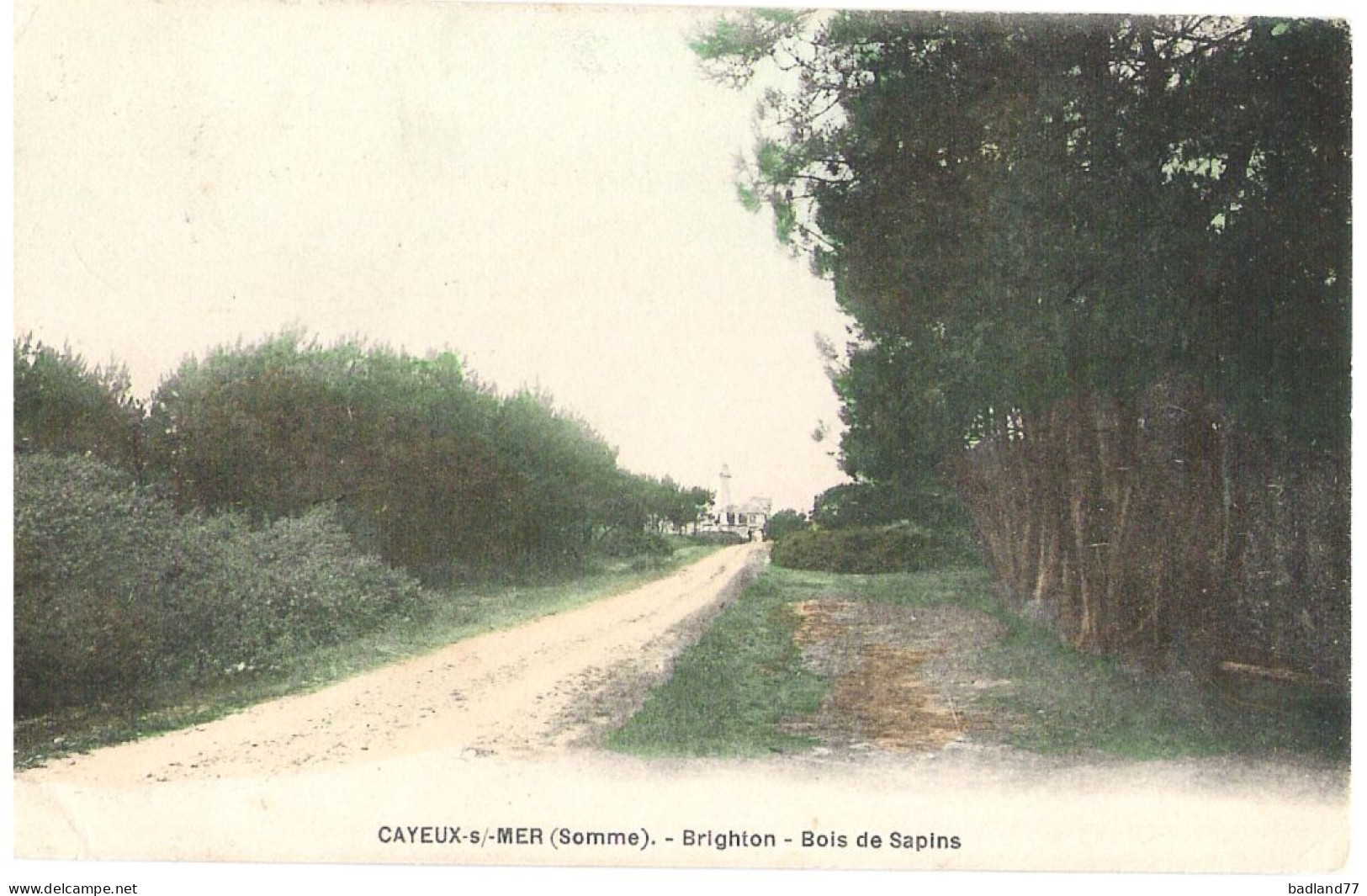 80 - CAYEUX-S/-MER (somme) - Brighton - Bois De Sapins  - Cayeux Sur Mer