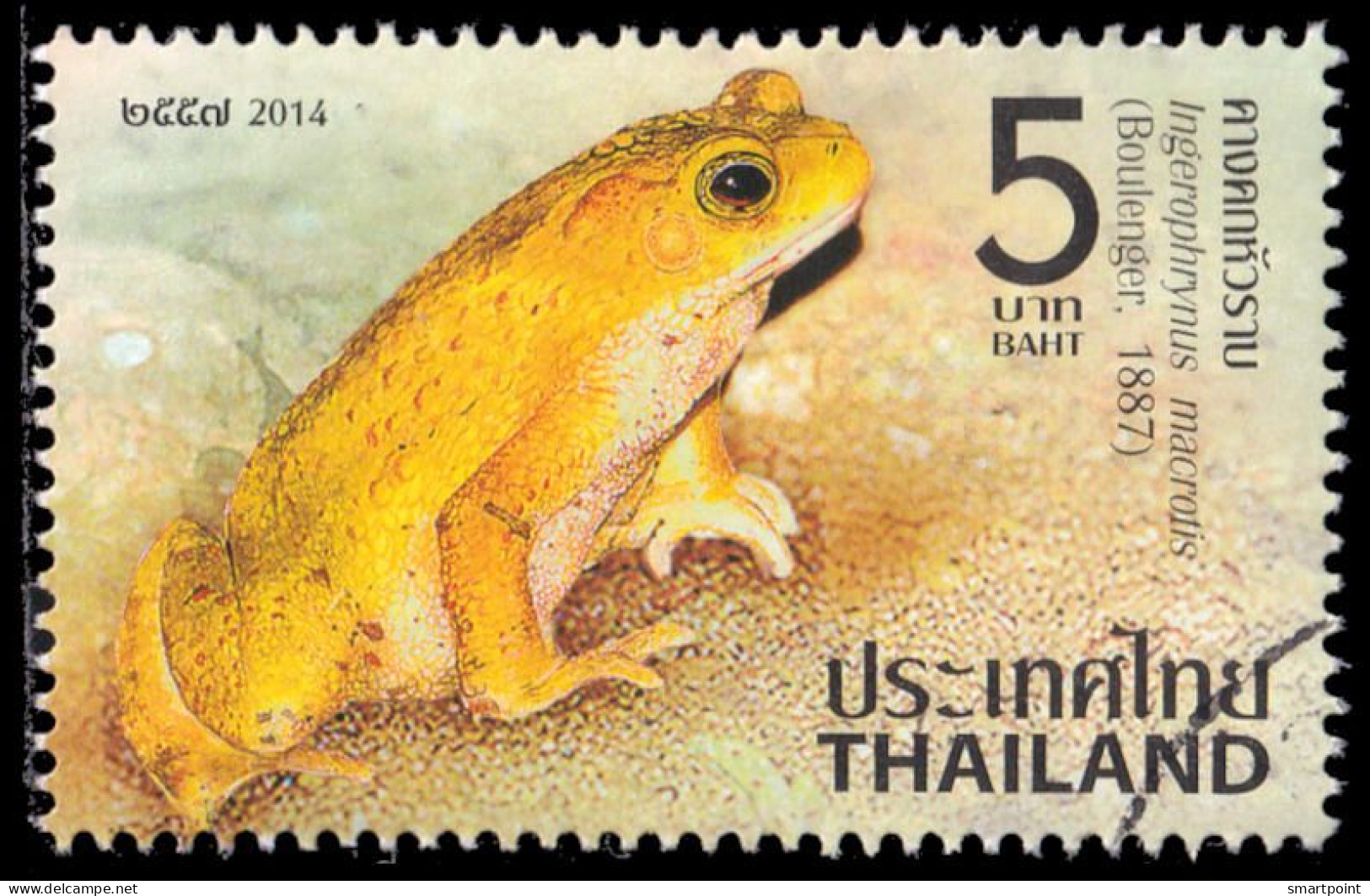Thailand Stamp 2014 Amphibians 5 Baht - Used - Thailand