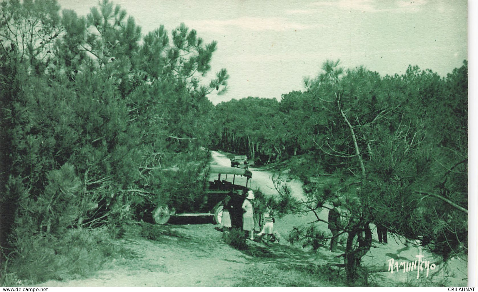 17-ILE D OLERON VERTBOIS-N°T5268-C/0371 - Ile D'Oléron