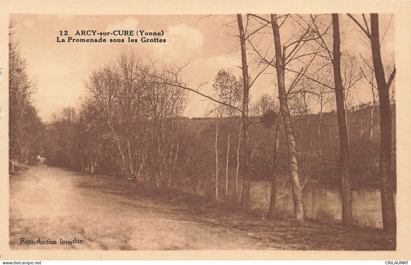 89-ARCY SUR CURE-N°T5268-G/0301 - Sonstige & Ohne Zuordnung