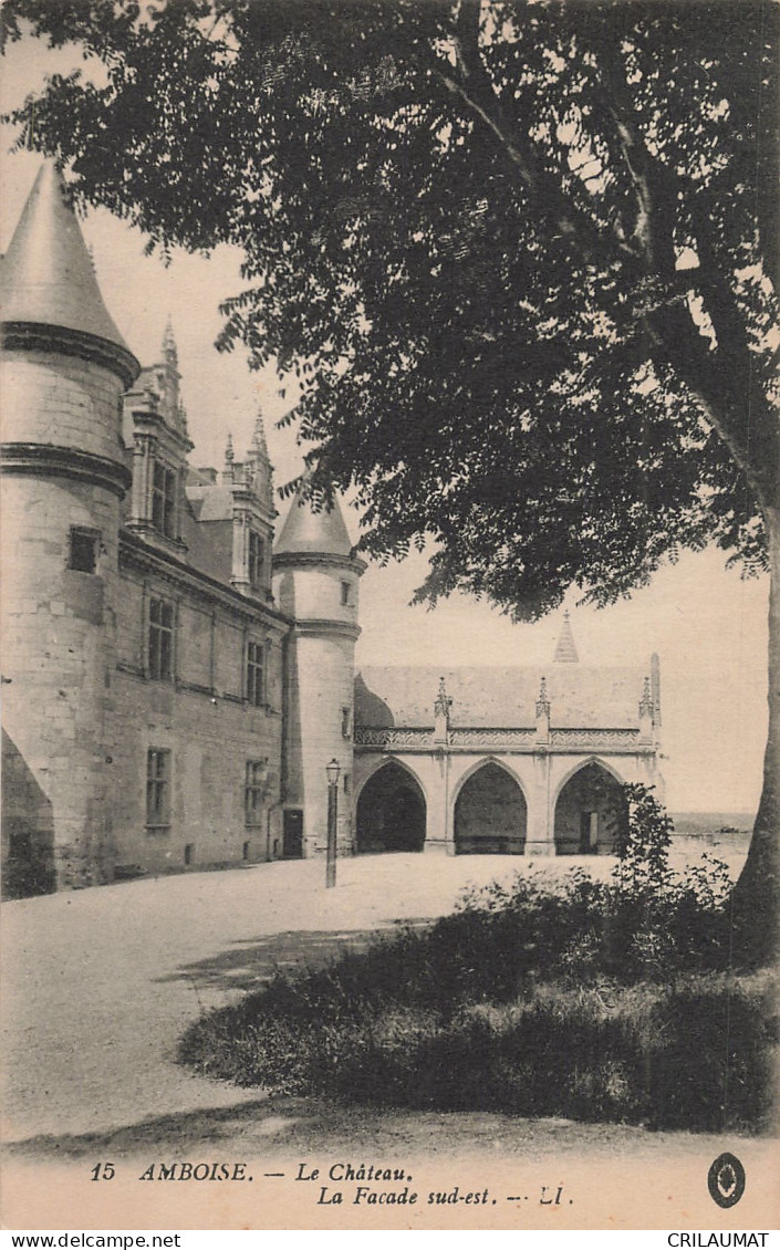 17-AMBOISE LE CHATEAU-N°T5269-B/0039 - Amboise