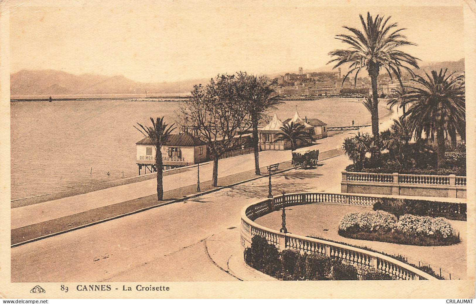 06-CANNES-N°T5269-A/0263 - Cannes