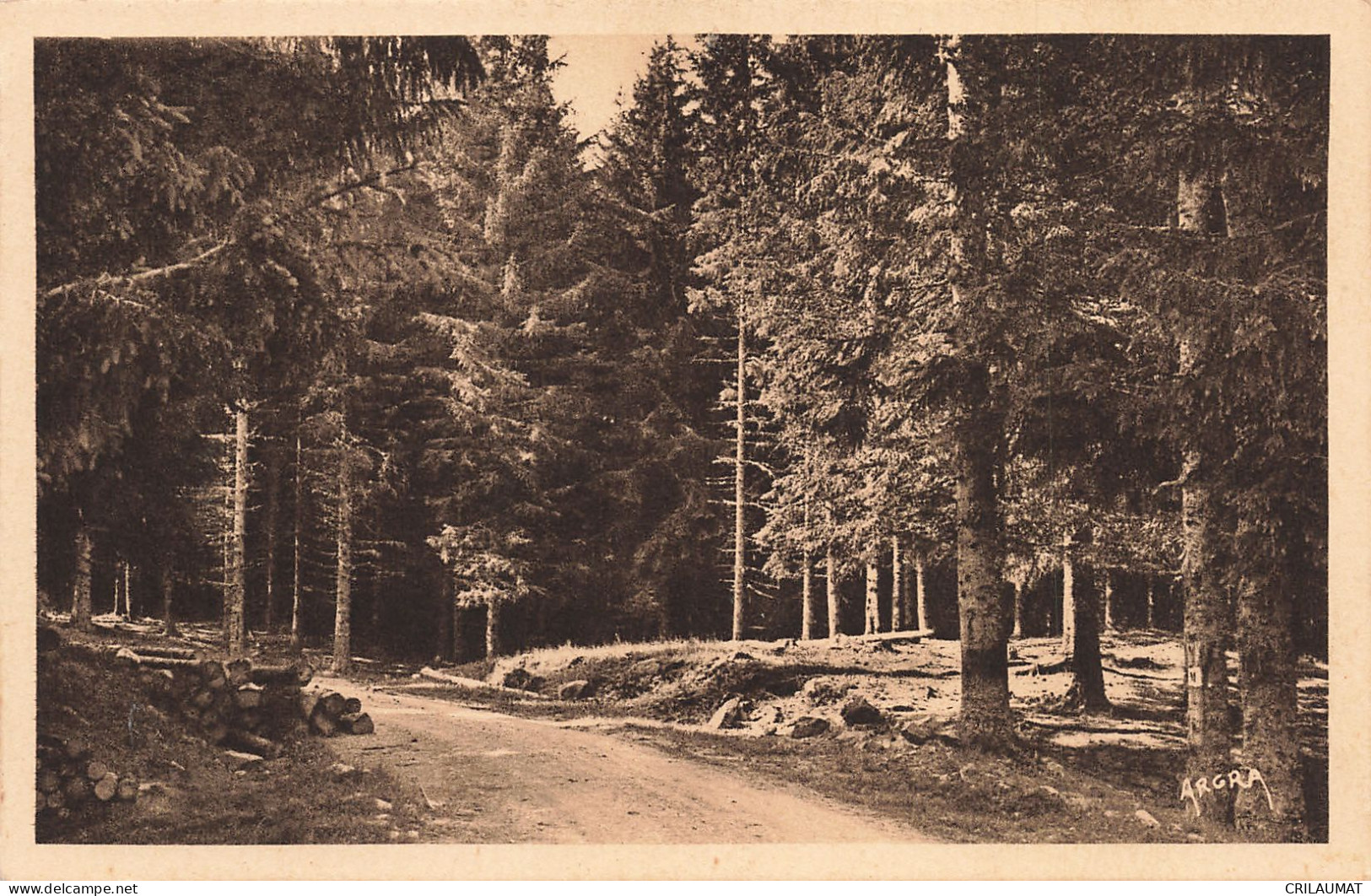 15-FORET DU LIORAN-N°T5268-H/0277 - Sonstige & Ohne Zuordnung