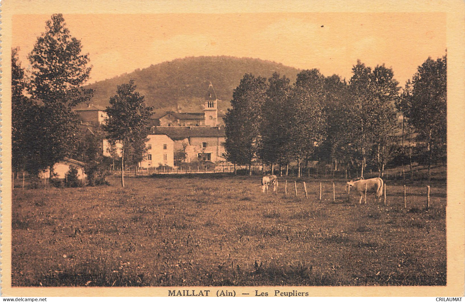 01-MAILLAT-N°T5269-F/0063 - Non Classés