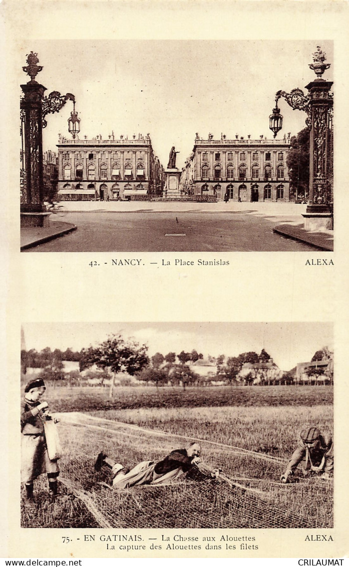 54-NANCY-N°T5270-E/0003 - Nancy