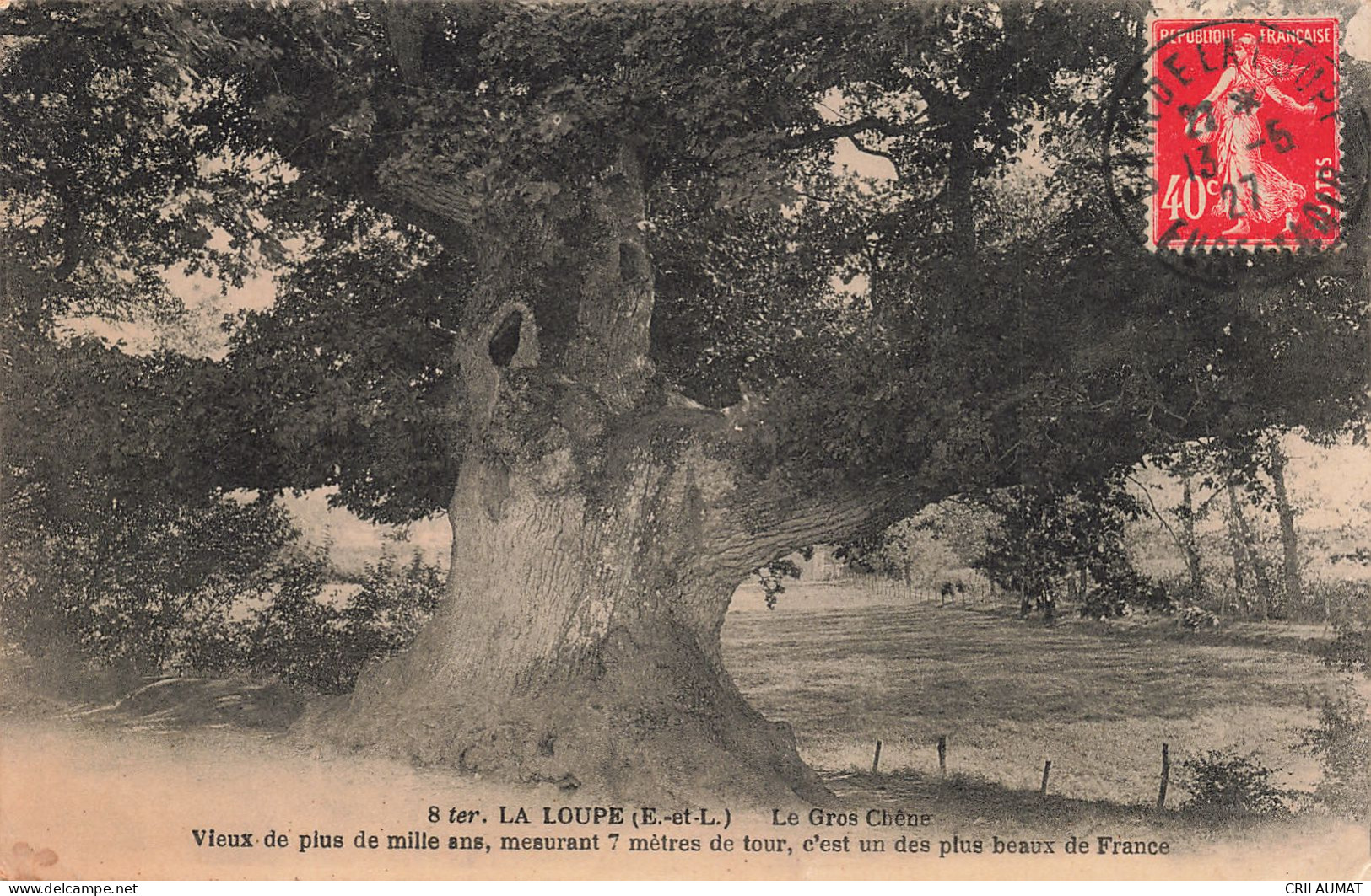 28-LA LOUPE LE GROS CHENE-N°T5270-D/0017 - La Loupe