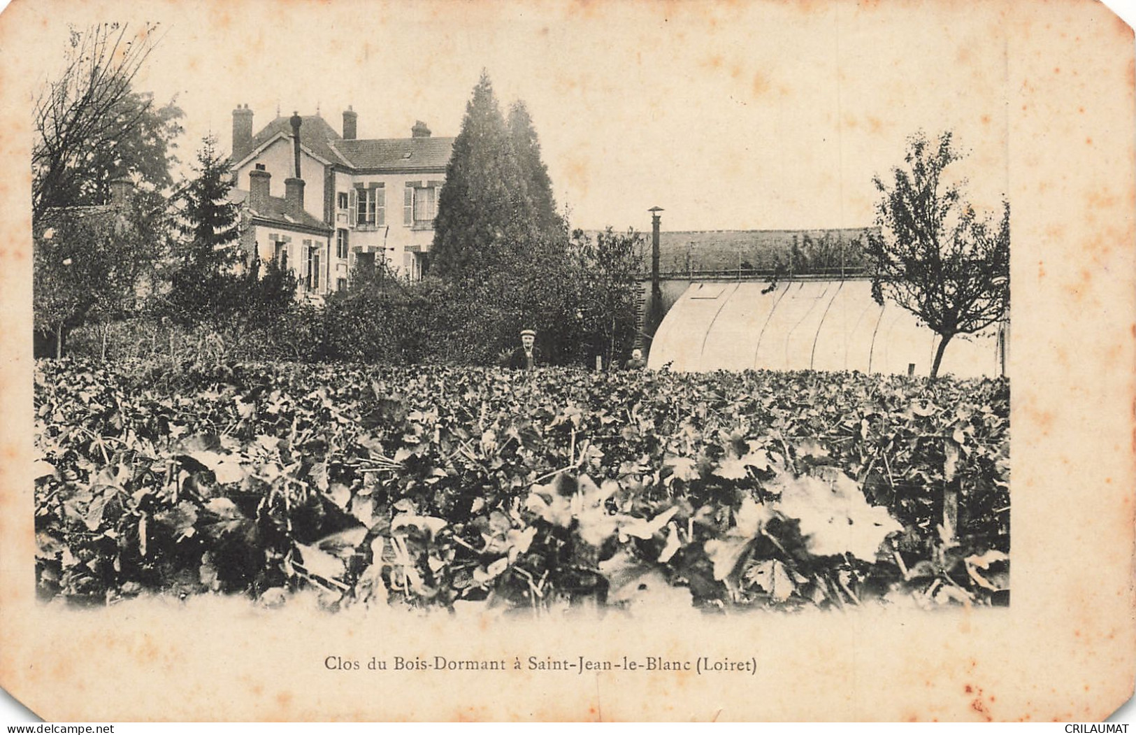 45-SAINT JEAN LE BLANC CLOS DU BOIS DORMANT-N°T5270-F/0215 - Other & Unclassified