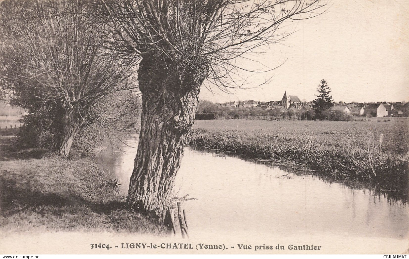 89-LIGNY LE CHATEL-N°T5270-E/0171 - Ligny Le Chatel