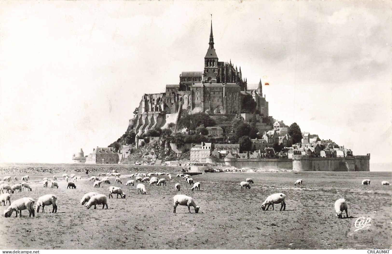 50-LE MONT SAINT MICHEL-N°T5270-H/0307 - Le Mont Saint Michel