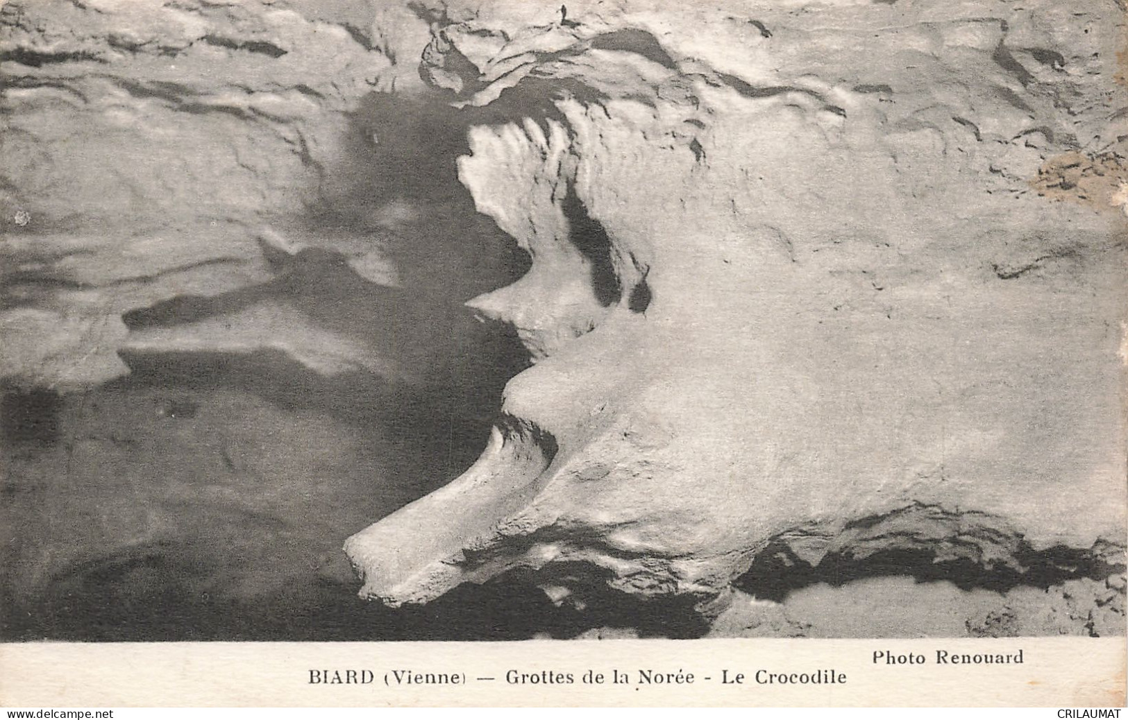 86-BIARD GROTTES DE LA NOREE LE CROCODILE-N°T5270-H/0155 - Autres & Non Classés