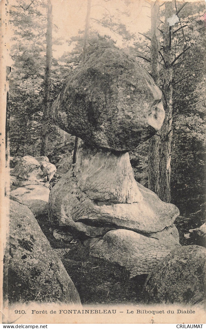 77-FONTAINEBLEAU LA FORET-N°T5271-B/0063 - Fontainebleau