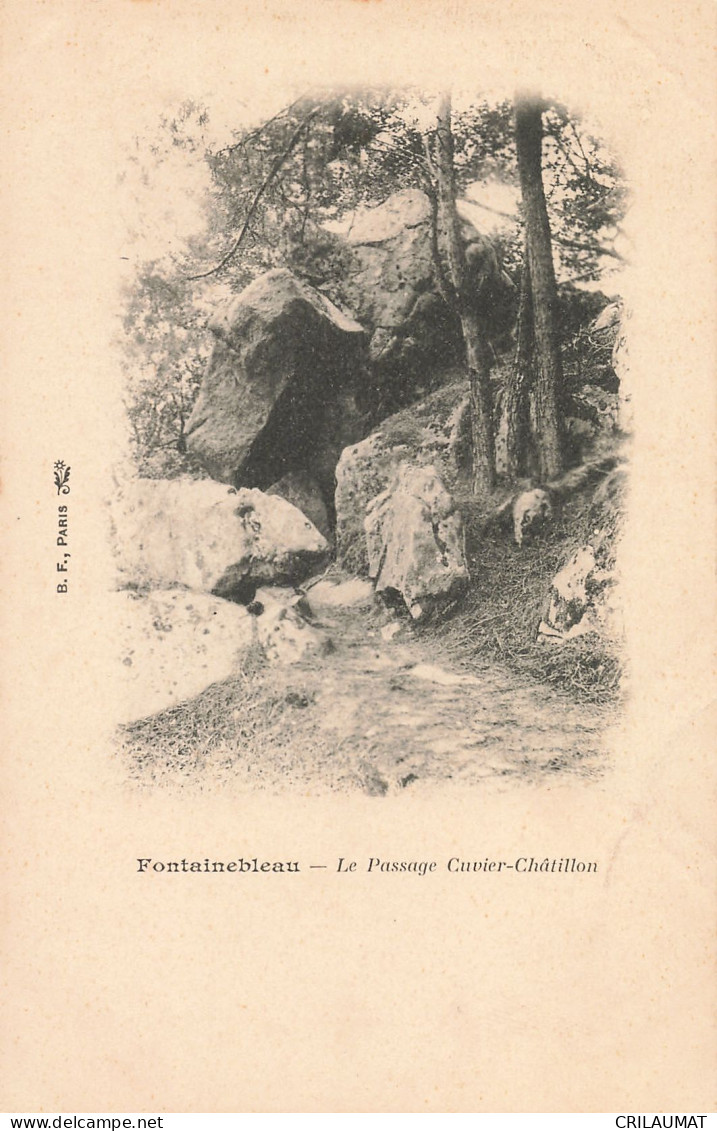 77-FONTAINEBLEAU PASSAGE CUVIER CHATILLON-N°T5271-E/0133 - Fontainebleau