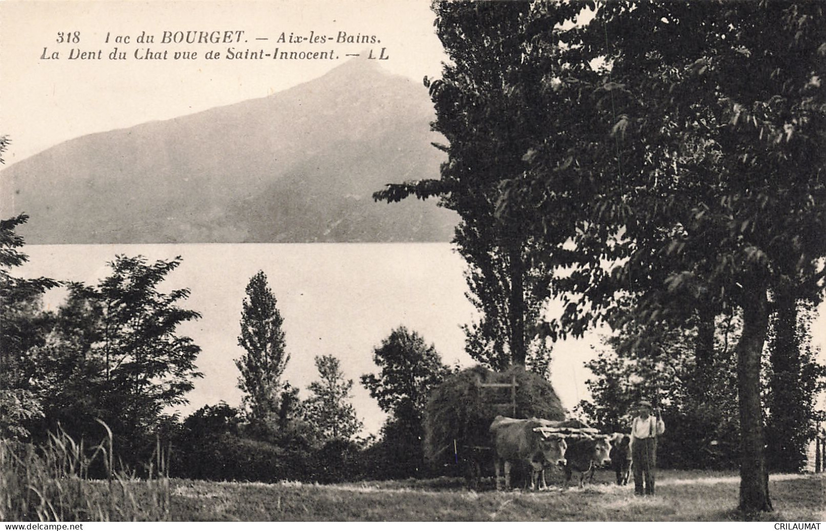 73-LAC DU BOURGET-N°T5272-A/0143 - Other & Unclassified