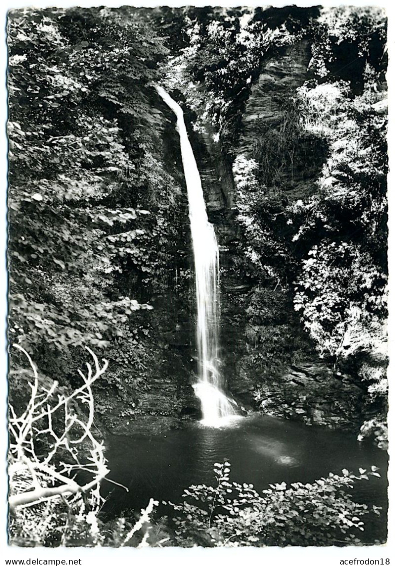 OREZZA-LES-EAUX - La Cascade Du Carcheto - Sonstige & Ohne Zuordnung