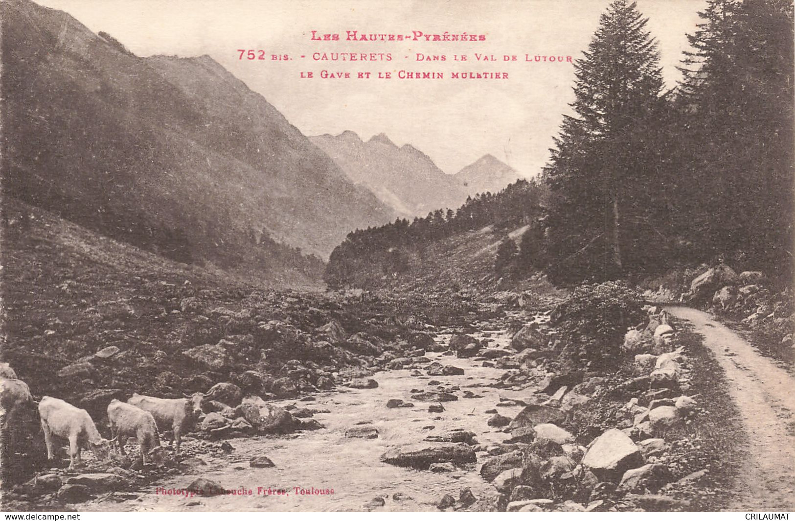 65-CAUTERETS-N°T5272-C/0193 - Cauterets