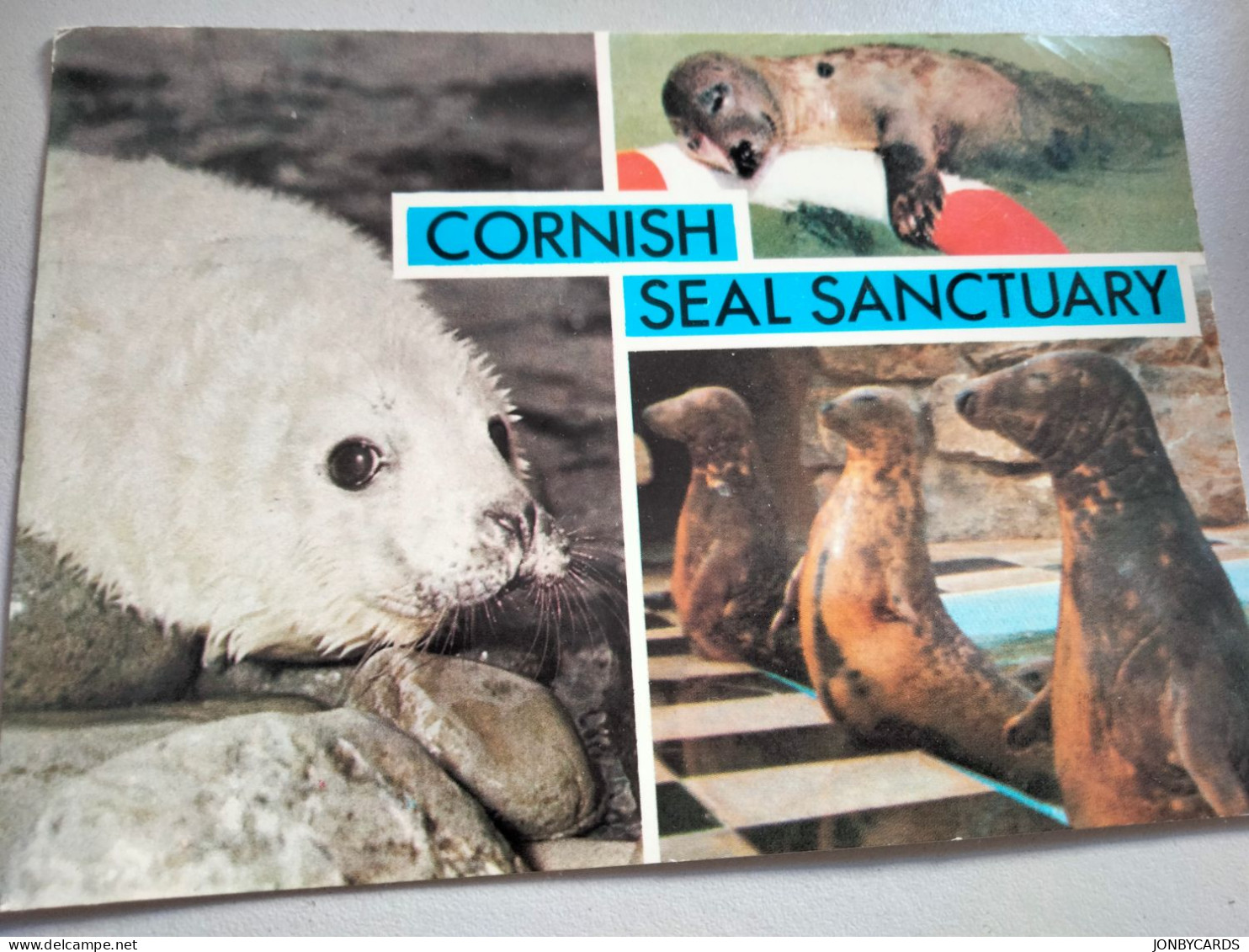 Cornish Seal Sanctuary ,Gweek,Cornwall.used Postcard.#50. - Sonstige & Ohne Zuordnung