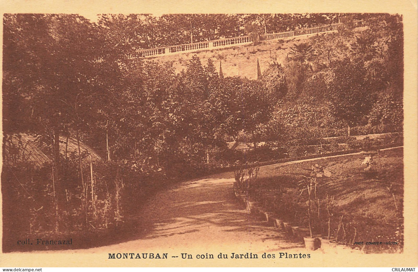 82-MONTAUBAN-N°T5272-E/0377 - Montauban