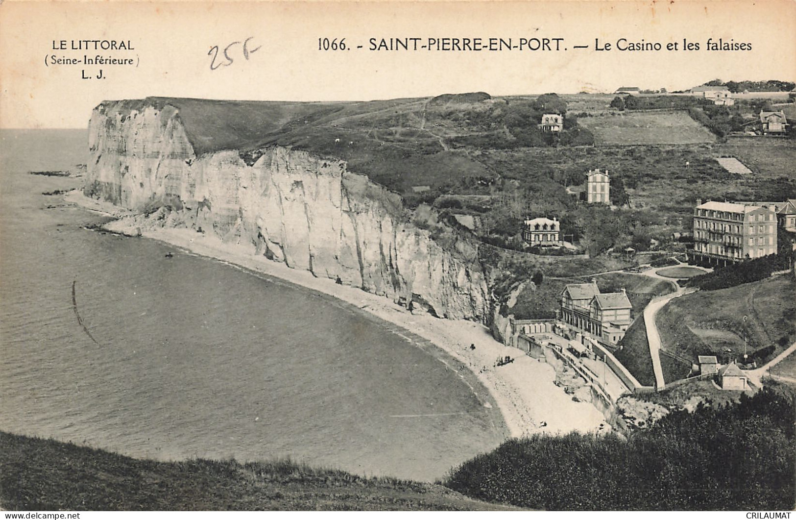 76-SAINT PIERRE EN PORT-N°T5272-D/0223 - Other & Unclassified