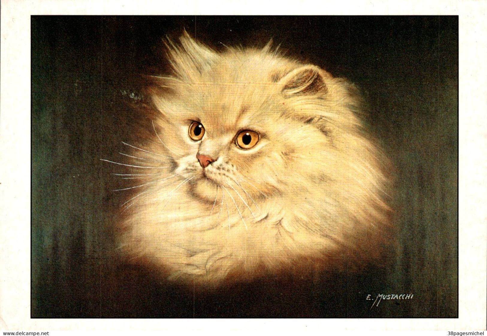 K1105 - CHATS - Lot De 3 Cartes Postales Semi Moderne - Katten