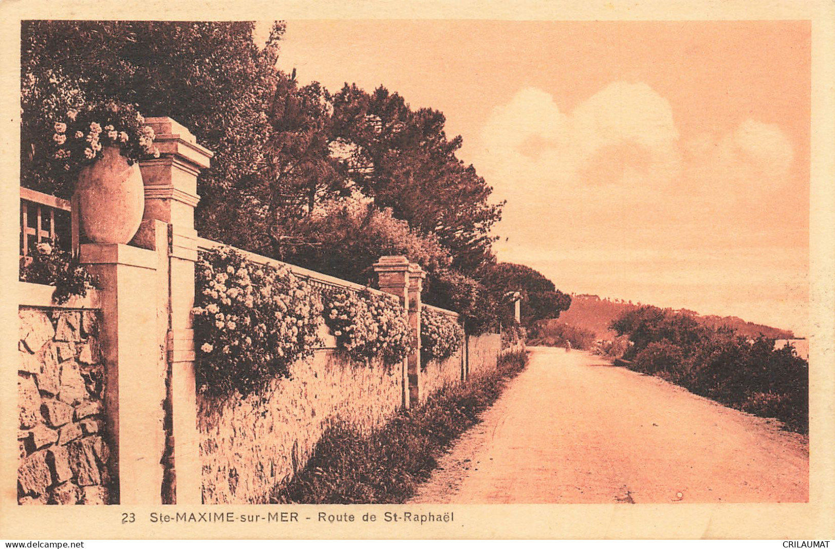 83-SAINTE MAXIME SUR MER-N°T5273-D/0065 - Sainte-Maxime