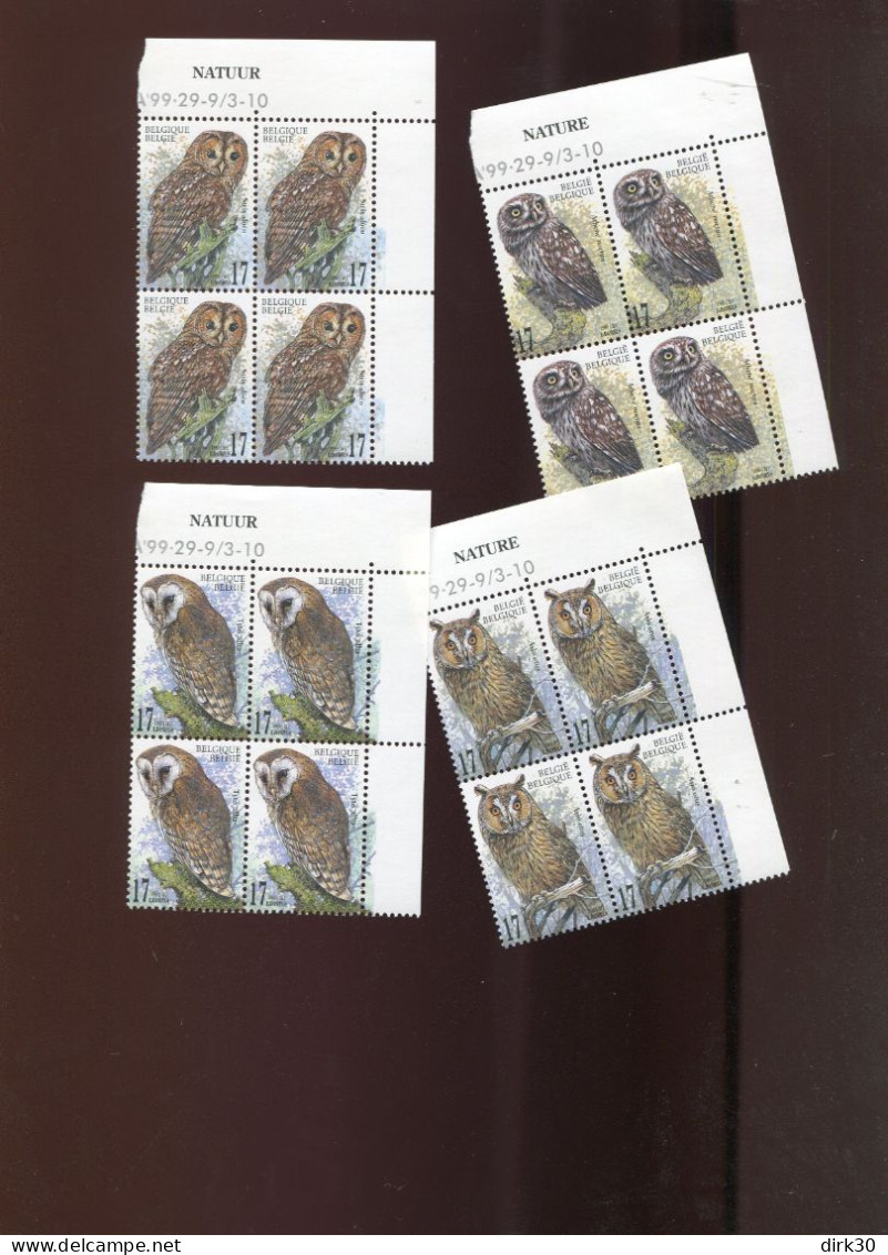 Belgie 1999 2805/08 OWLS Birds Daniels In Blocks Of 4 MNH - Nuevos