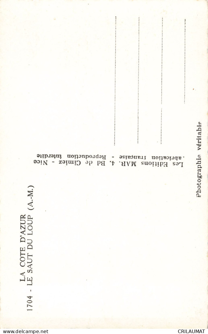 06-SAUT DU LOUP-N°T5273-F/0291 - Autres & Non Classés