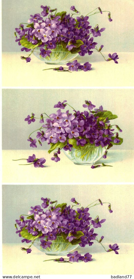 Grande Image Chromo Début XXe S. - Violettes - Sonstige & Ohne Zuordnung