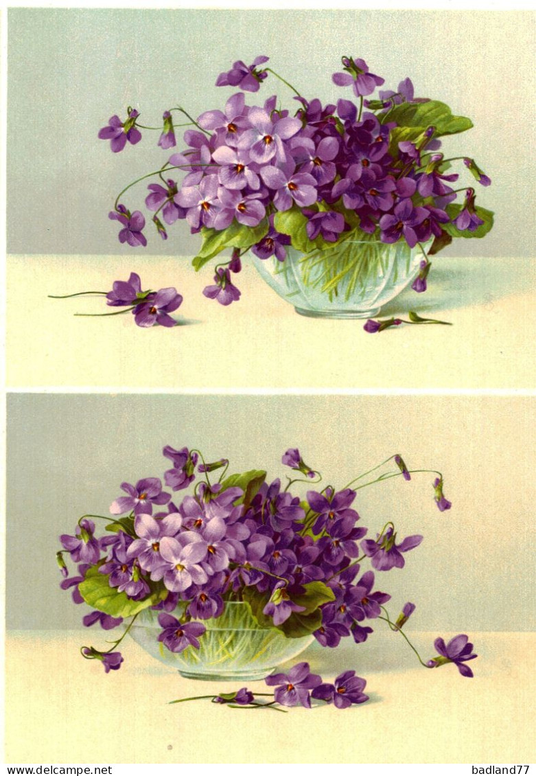 Grande Image Chromo Début XXe S. - Violettes - Autres & Non Classés