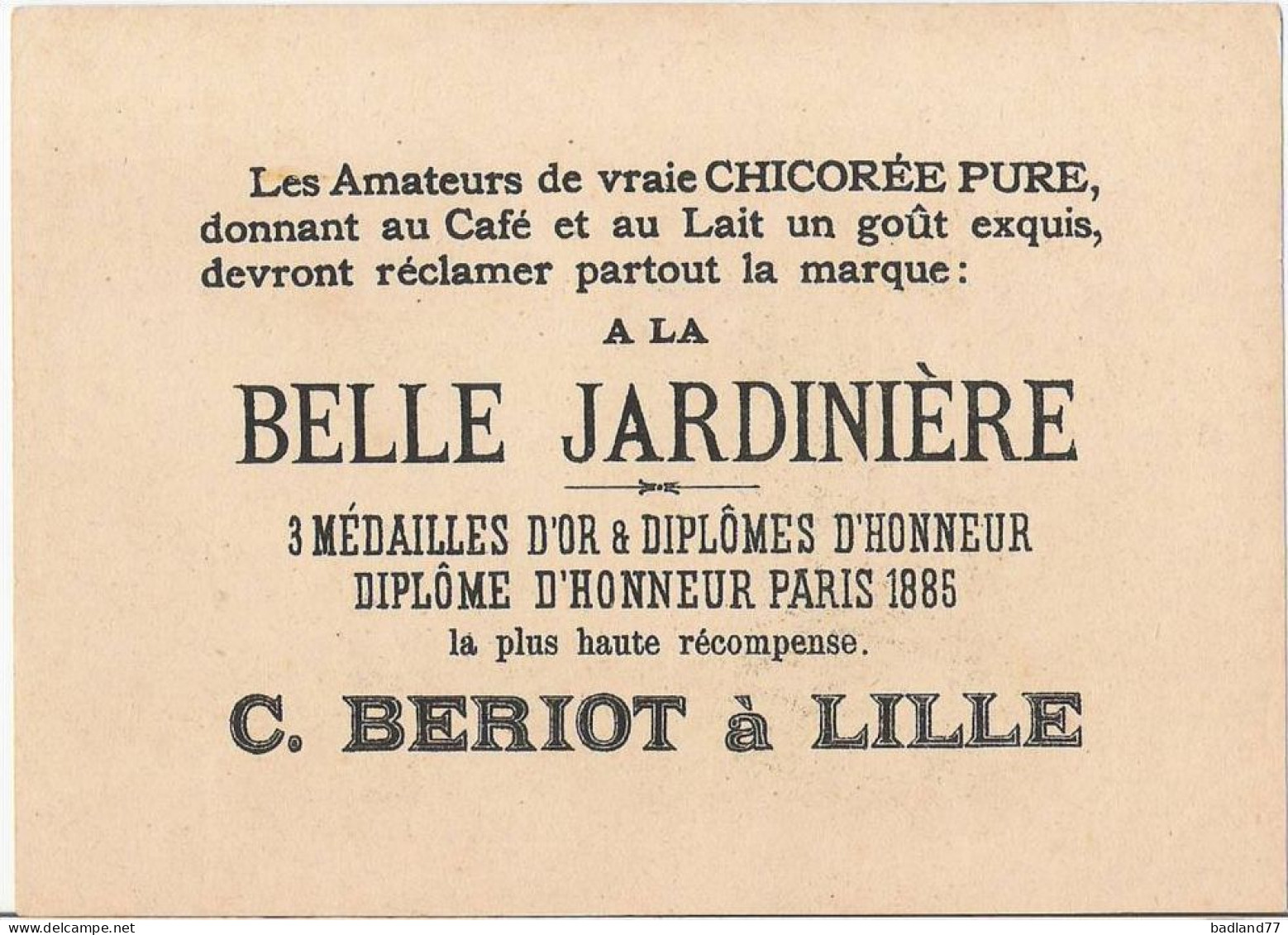 Grande Image Chromo Chicorée Belle Jardinière - Peinture    * - Other & Unclassified